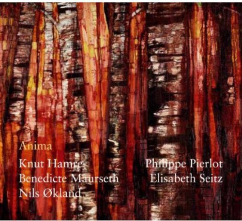 Maurseth Benedicte/Knut Hamre/Nilsö - Anima i gruppen CD / Jazz/Blues hos Bengans Skivbutik AB (1812395)
