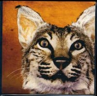 Greenhornes - Saying Goodbye i gruppen VINYL / Pop-Rock hos Bengans Skivbutik AB (1816073)