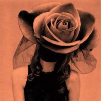 Elson Karen - Vicious i gruppen VINYL / Pop-Rock hos Bengans Skivbutik AB (1816103)