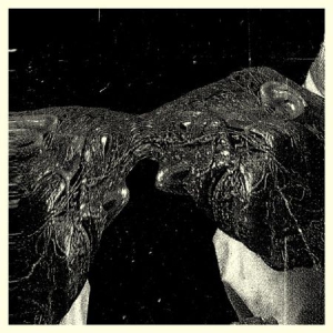 Secret Boyfriend - Memory Care Unit i gruppen VINYL / Rock hos Bengans Skivbutik AB (1818079)