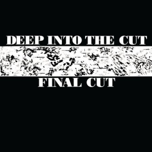 Final Cut - Deep Into The Cut i gruppen VINYL / Dans/Techno hos Bengans Skivbutik AB (1818086)