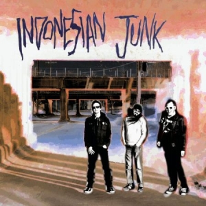 Indonesian Junk - Indonesian Junk i gruppen CD / Rock hos Bengans Skivbutik AB (1832116)