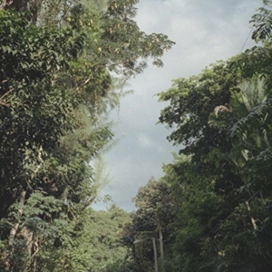 Nelson Zac - New Once i gruppen ÖVRIGT / Övrigt / aub hos Bengans Skivbutik AB (1842331)