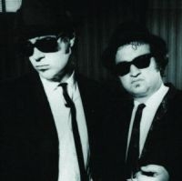 BLUES BROTHERS - THE VERY BEST OF THE BLUES BRO in the group CD / Best Of,Pop-Rock at Bengans Skivbutik AB (1843908)