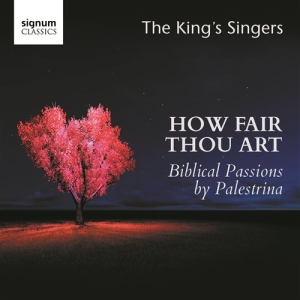 Palestrina Giovanni Pierluigi Da - How Fair Thou Art i gruppen Externt_Lager / Naxoslager hos Bengans Skivbutik AB (1847540)