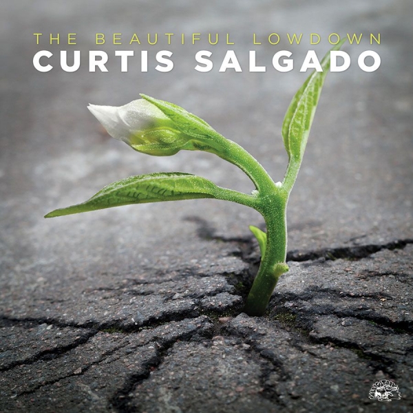 Salgado Curtis - Beautiful Lowdown i gruppen CD / Toppsäljare hos Bengans Skivbutik AB (1868256)