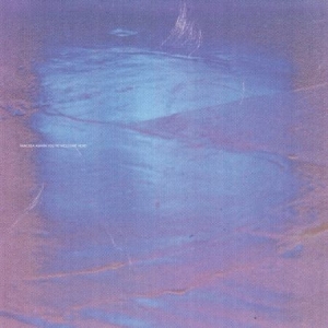 Amara Vanessa - You\re Welcome Here i gruppen VINYL / Pop hos Bengans Skivbutik AB (1868478)