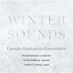 Blandade Artister - Winter Sounds i gruppen CD / Klassiskt hos Bengans Skivbutik AB (1871647)