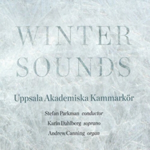 Blandade Artister - Winter Sounds i gruppen CD / Klassiskt hos Bengans Skivbutik AB (1871647)