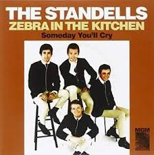 Standells The - Zebra In The Kitchen / Someday You' i gruppen VI TIPSAR / Klassiska lablar / Sundazed / Sundazed Vinyl hos Bengans Skivbutik AB (1876426)