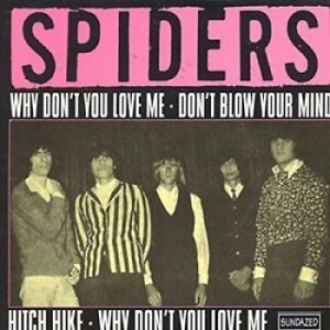 Spiders The - Why Don't You Love Me / Hitch Hike i gruppen VI TIPSAR / Klassiska lablar / Sundazed / Sundazed Vinyl hos Bengans Skivbutik AB (1876471)