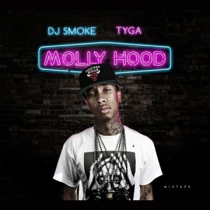 Tyga - Molly Hood Mixtape i gruppen CD / Hip Hop-Rap hos Bengans Skivbutik AB (1877605)