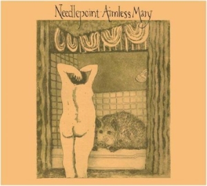 Needlepoint - Aimless Mary i gruppen CD / Pop-Rock hos Bengans Skivbutik AB (1877626)
