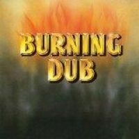 Revolutionaries - Burning Dub i gruppen VINYL / Reggae hos Bengans Skivbutik AB (1878770)