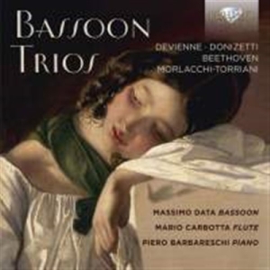 Beethoven / Devienne / Donizetti - Bassoon Trios i gruppen Externt_Lager / Naxoslager hos Bengans Skivbutik AB (1881654)