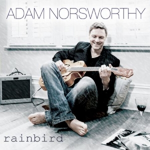 Norsworthy Adam - Rainbird i gruppen CD / Rock hos Bengans Skivbutik AB (1883826)