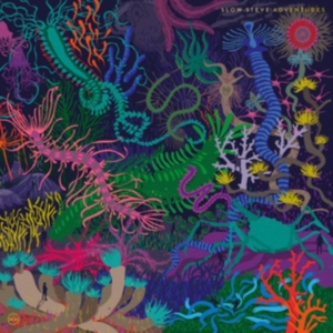 Slow Steve - Adventures i gruppen CD / Rock hos Bengans Skivbutik AB (1883846)