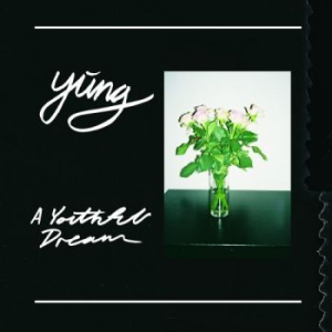 Yung - A Youthful Dream i gruppen VINYL / Pop-Rock hos Bengans Skivbutik AB (1890979)