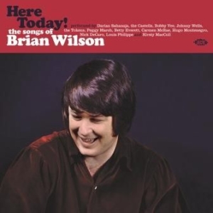 Various Artists - Here Today! Songs Of Brian Wilson i gruppen VINYL / Pop-Rock hos Bengans Skivbutik AB (1899853)