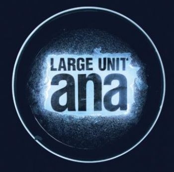Large Unit - Ana i gruppen CD / Toppsäljare hos Bengans Skivbutik AB (1908179)