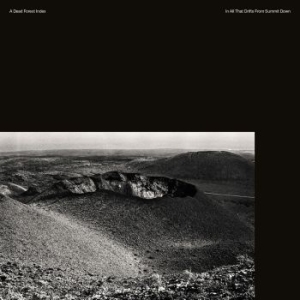 A Dead Forest Index - In All That Drifts From Summit Down i gruppen CD / Rock hos Bengans Skivbutik AB (1908203)
