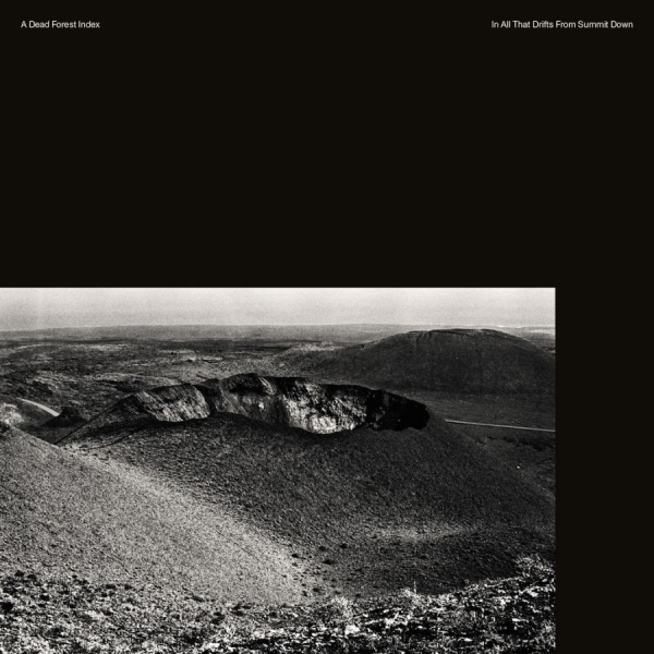 A Dead Forest Index - In All That Drifts From Summit Down i gruppen CD / Toppsäljare hos Bengans Skivbutik AB (1908203)