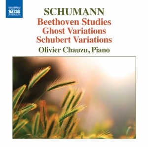 Beethoven / Schumann - Beethoven Studies in the group CD / Övrigt at Bengans Skivbutik AB (1911040)