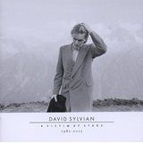 David Sylvian - A Victim Of Stars 1981-2011 (2CD) in the group CD / Best Of,Pop-Rock at Bengans Skivbutik AB (1921421)