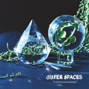 Outer Spaces - A Shedding Snake i gruppen VINYL / Pop-Rock hos Bengans Skivbutik AB (1921497)