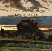Reptile Master - In The Light Of A Sinking Sun i gruppen CD / Pop-Rock hos Bengans Skivbutik AB (1921763)