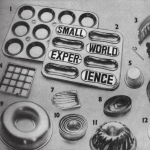 Small World Experience - Shelf-Life i gruppen VINYL / Rock hos Bengans Skivbutik AB (1925853)