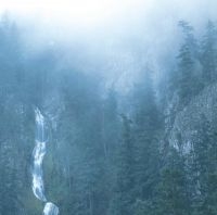 Wolves In The Throne Room - Diadem Of 12 Stars i gruppen VINYL / Pop-Rock hos Bengans Skivbutik AB (1925857)