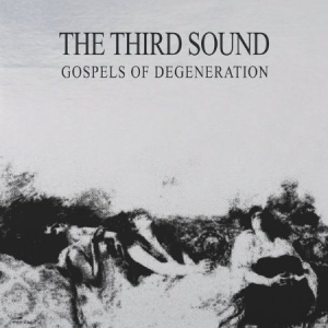 Third Sound - Gospels Of Dengeneration i gruppen VINYL / Rock hos Bengans Skivbutik AB (1926430)