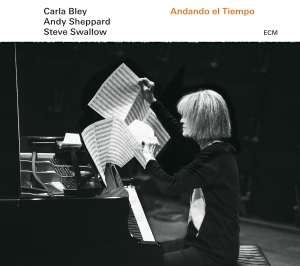 Carla Bleysteve Swallow Andy Shep - Andando El Tiempo i gruppen VINYL / Jazz hos Bengans Skivbutik AB (1946632)