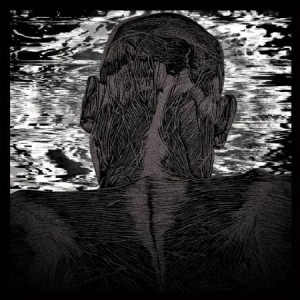 Levitas Asher - Liut Harness i gruppen VINYL / Pop hos Bengans Skivbutik AB (1951556)