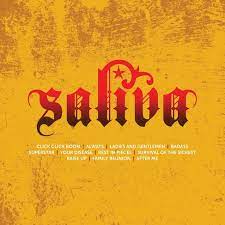 Saliva - Icon i gruppen CD / Pop-Rock hos Bengans Skivbutik AB (1954118)