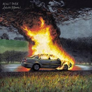 Adult Dude - Adult Moods i gruppen ÖVRIGT / Övrigt / aub hos Bengans Skivbutik AB (1968533)
