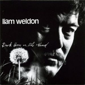 Weldon Liam - Dark Horse On The Wind i gruppen CD / Elektroniskt hos Bengans Skivbutik AB (1968722)