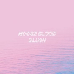 Moose Blood - Blush i gruppen CD / Rock hos Bengans Skivbutik AB (1969343)