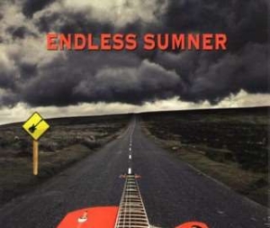 Sumner Will - Endless Summer i gruppen CD / Jazz/Blues hos Bengans Skivbutik AB (1969538)