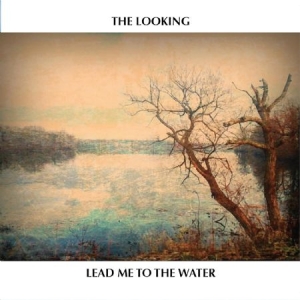 Looking - Lead Me To The Water i gruppen CD / Country hos Bengans Skivbutik AB (1977238)