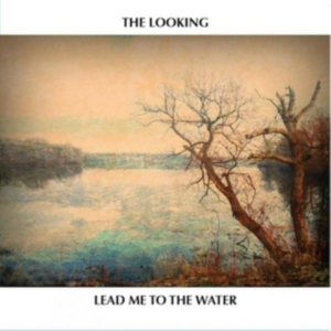 Looking - Lead Me To The Water i gruppen CD / Country hos Bengans Skivbutik AB (1977238)