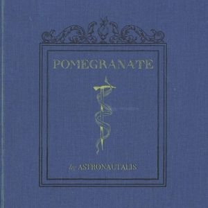 Astronautalis - Pomegranate i gruppen VINYL / Rock hos Bengans Skivbutik AB (1977271)
