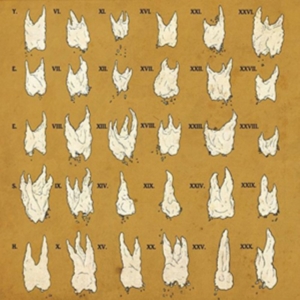 Yeesh - Confirmation Bias i gruppen CD / Pop-Rock hos Bengans Skivbutik AB (2004746)