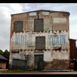 Mole Train - The Mole Train i gruppen CD / Pop hos Bengans Skivbutik AB (2006598)