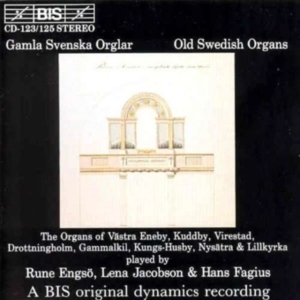 Various - Old Swedish Orgs i gruppen Externt_Lager / Naxoslager hos Bengans Skivbutik AB (2006642)