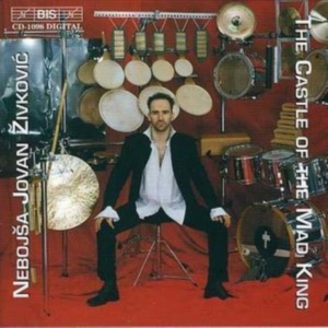 Zivkovic Nebojsa Jovan - Castle Of Mad King i gruppen Externt_Lager / Naxoslager hos Bengans Skivbutik AB (2006681)
