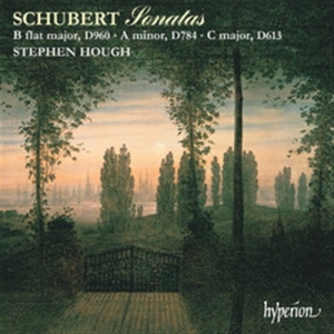 Schubert Franz - Piano Sonatas D 960, 784 & 613 i gruppen Externt_Lager / Naxoslager hos Bengans Skivbutik AB (2007806)