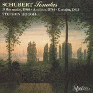 Schubert Franz - Piano Sonatas D 960, 784 & 613 i gruppen Externt_Lager / Naxoslager hos Bengans Skivbutik AB (2007806)