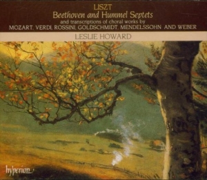 Liszt Franz - Complete Piano Works 24 /Septe i gruppen Externt_Lager / Naxoslager hos Bengans Skivbutik AB (2007849)